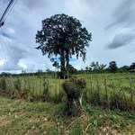 Tomas Granados Cordero - @tomasgranadoscordero - Instagram
