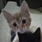 Tomás Jackson Muñoz - @tomas.jacksonm - Instagram