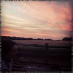 Tomas Michaud - @breslauerwillettepl - Instagram