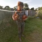 Tomás Moore - @rathcurby_natural_farm - Instagram
