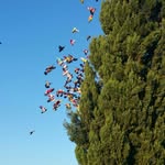 Miguel Angel Tomas Pascual - @miguelangeltomaspascual - Instagram