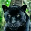 Soy De La Florida Barillense - @tomas.pascual870 - TikTok