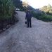 Tomas Pascual - Facebook