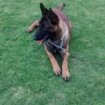 Tomas Piña Rivera - @tomaspinarivera - Instagram