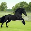 tomasserrano953 - @tomasserrano953 - TikTok