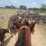 Tomas Suarez - @tomassua0.5 - Instagram