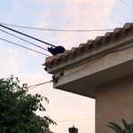 Tomas Ureña Saez - @tomuresa - Instagram