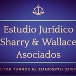 Tomas sharry  Marcelo Wallace - @sharrywallaceestudio - Instagram