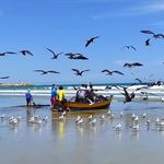 Tomás Carlos Wright - @tcwrighty5252 - Instagram
