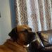 tomas wright - Facebook