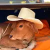 Tomasa Jimenez - @tomasa.jimenez1 - TikTok