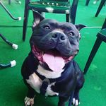 Tomasz Drozd - @drozdtomasz - Instagram