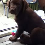 Tomasz Drozd - @tomaszdrozd12 - Instagram