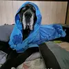 tomaszdrozdz - @tomaszdrozdz - TikTok