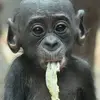 Tomasz Kotowicz - @tomasz.kotowicz5 - TikTok