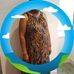 Tomeka Small - Facebook