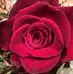 Morgan Tomioka - Facebook
