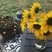 Tomara Reeves - Facebook