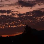 Tom Bartley - @tommyboy323232 - Instagram
