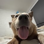 Tommy Bailey - Facebook