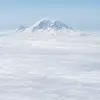 Tommy Baxter - @tommy.baxter5 - TikTok