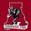 tommie - @tommiebearden1 - TikTok