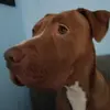 Tommie Dunne - @tommie.dunne - TikTok