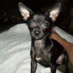 Tommie Marie Durham Hecker - @tommiedurham - Instagram