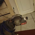 Tommy Fields - @kallie.field - Instagram