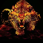 Tommy Fields - @tommy.fields.5099 - Instagram
