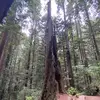 Tommy Akers - @tommy.akers - TikTok