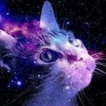 Tommy Akers - @speedforce426 - Instagram