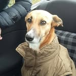 Tommy Armstrong - @tommy_armstrong1 - Instagram