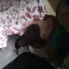 Tommy Armstrong - @tommy.armstrong8 - TikTok