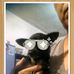 Tommy Barrera - Facebook