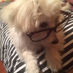 Tommy Barrera Flores - @tommy_coton - Instagram