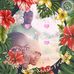 Tom Barasa - Facebook