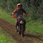 Tom Basham - @tom_basham68 - Instagram
