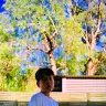 Tommy Beasley - @itstommys2020biggestfan - TikTok