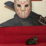 Tom Michael Bellamy - @tbellsmell - Instagram