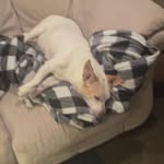 Tommy-Benjamin Lee Thomas Nickells-Wilson - @tommybenjaminleethomas - Instagram
