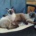 Tommy Billy - Facebook