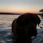 thomas - @tommybinion2020 - Instagram