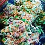 @tommyblunt21 - Instagram
