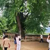 산들바람 - @tommybolin17 - TikTok