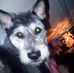 Tommy Brock - Facebook