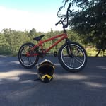 Tommy Burks - @tb_1251 - Instagram