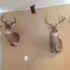 Tommy_burks - @tommy_burks - TikTok