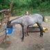 Tommy Burt - Facebook