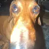 tommy - @tommyburt06 - TikTok
